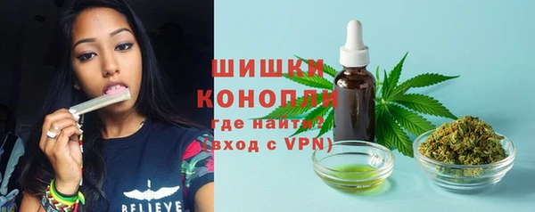 СК Верхний Тагил