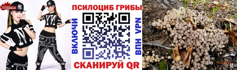 Галлюциногенные грибы мухоморы  Купить  Зима 