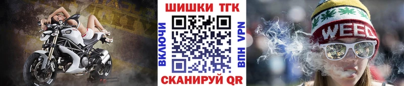 Шишки марихуана ГИДРОПОН  Купить где  Зима 